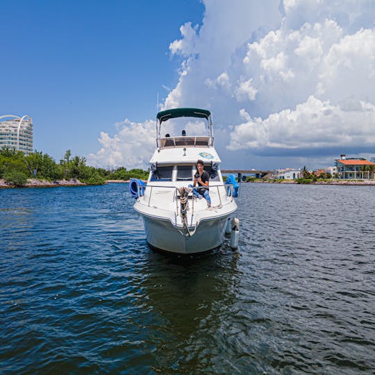 Yacht à moteur Sea Ray de 30 pieds avec 2 moteurs Mercruiser