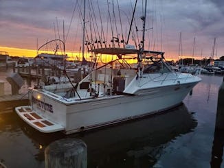 Lake Michigan Fishing Charters and Cruises on 36' Tiara Yacht