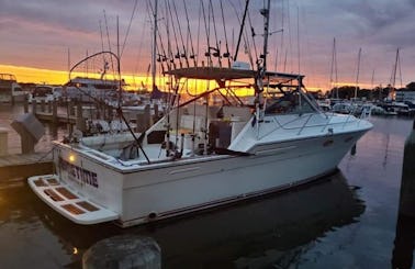 Lake Michigan Fishing Charters and Cruises on 36' Tiara Yacht
