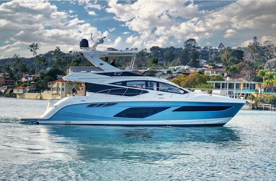 Newest Sea Ray modern and spacious 