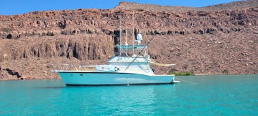 Affordable Comfort And Large Space For Groups | 50ft Hatteras Yacht