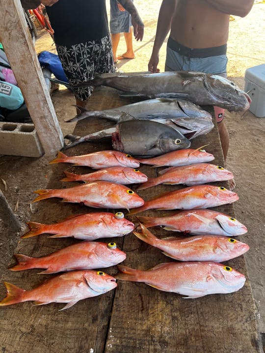 Deep Sea Fishing and Snorkeling on "The Boat"