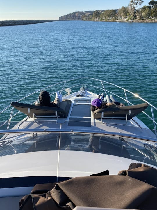 Des aventures en mer ! Observation de baleines et de dauphins. Dîners-croisières pour 12 personnes.