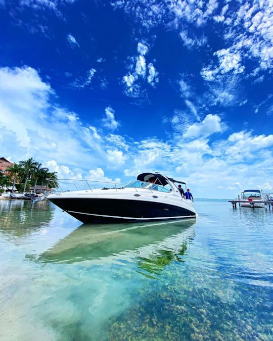 Tenha um dia incrível com este iate Sea Ray de 32 pés em Cancún!