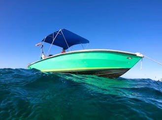 Snorkeling Holchan & Shark Ray Alley in Ambergris Caye