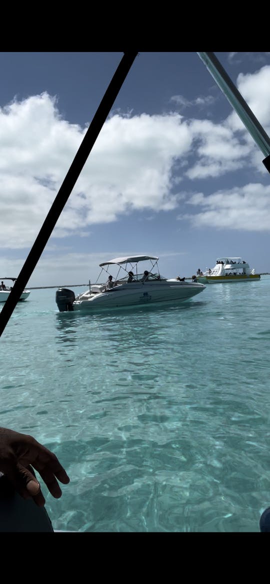 Excursión privada de medio día para bucear y hacer snorkel 