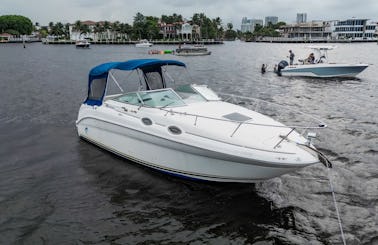 2.5hr SeaRay 260 Sundancer Sightseeing Tour Special $250  Charter in Style!