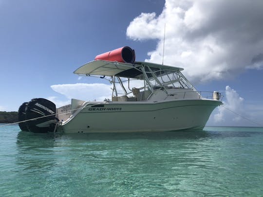 Grady White 33' - Palomino/Icacos - Culebra Vieques (Até 10 pessoas)