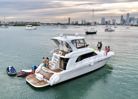 Sea Ray Sedan Bridge 52'