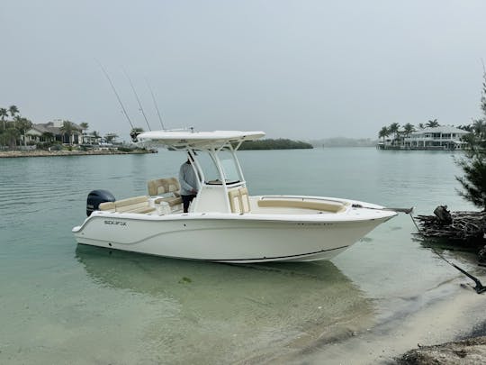 Lánzate a la aventura: ¡diviértete yendo de isla en isla, navegando o pescando!