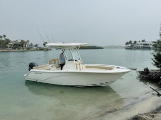 Partez à l'aventure : passez d'une île à l'autre, faites des croisières ou amusez-vous à pêcher !