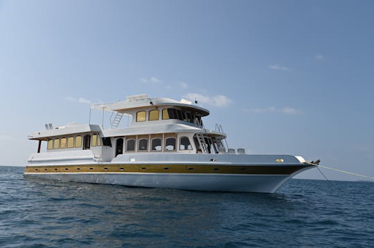 Pêche, plongée, croisière, surf aux Maldives