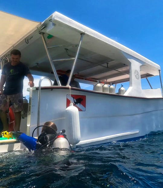Double Engine Speed Boat Diving Charter in Tamarindo, Costa Rica - Diving Tour
