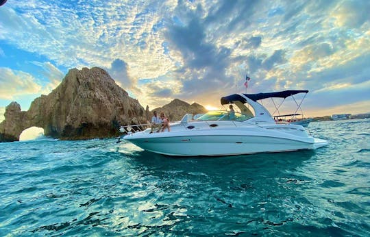 Nice Sea Ray Sundancer 32ft in Cabo San Lucas 