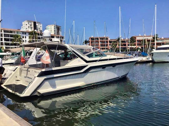 Wellcraft Portofino Express 46 ft Motor Yacht in Puerto Vallarta