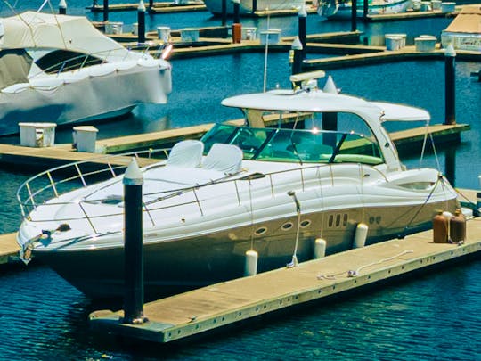 Luxury Sea Ray 52ft Motor Yacht 