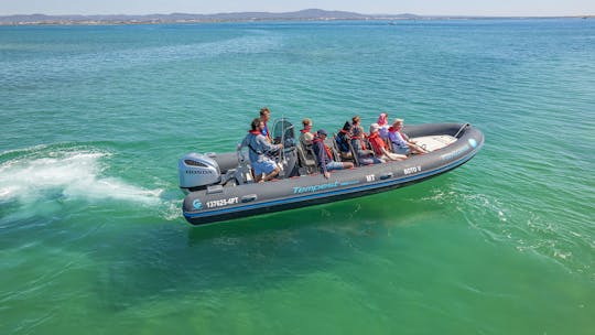 Aluguer de barcos RIB no Algarve