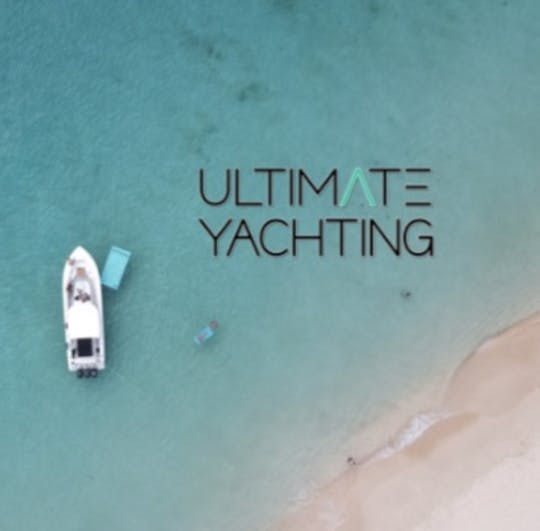BOSTON WHALER ULTIMATE I, 38 pies