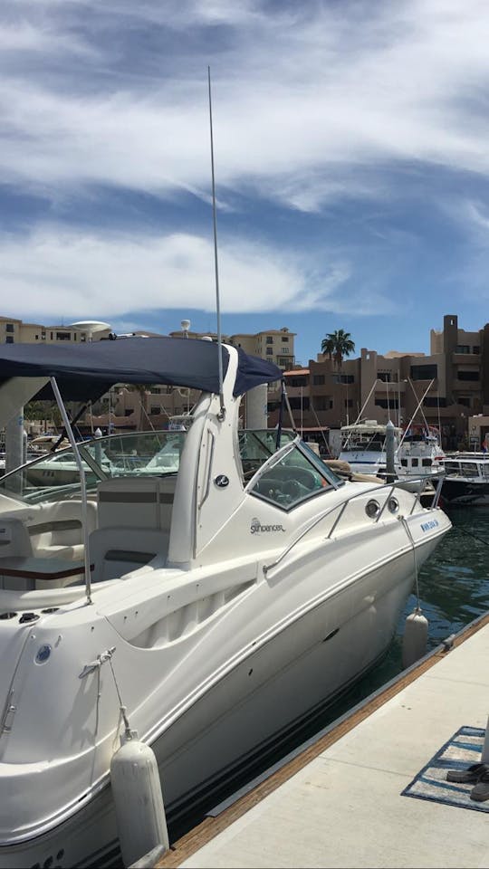 Yacht Sea Ray de 32 pieds pour votre aventure en mer à Los Cabos.