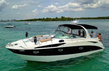 Bayliner 35 Luxury Yacht / Haulover Sandbar