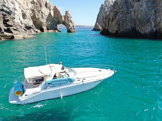 Sea Ray 240 Sundancer Luxury Yacht in Cabo San Lucas