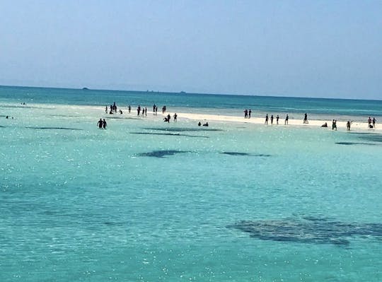 ダイビング+シャルムエルシェイクのホワイトアイランド旅行VIPヨット 
