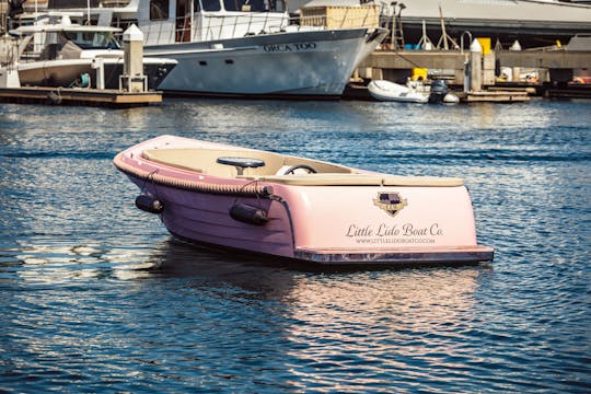 Bateau à moteur Lago Amore de 19 pieds