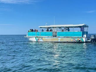 Excursión con delfines y esnórquel en la Costa Esmeralda