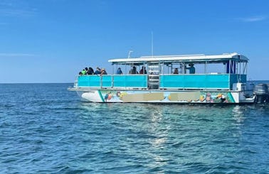 Emerald Coast Dolphin & Snorkel Tour