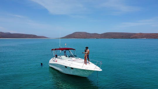 luxury yacht in La Paz..