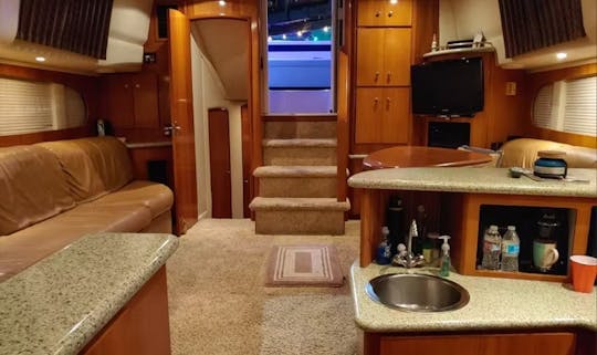 ¡Yate de lujo Carver 396 para excursiones al atardecer, fiestas de chicas en yates y más!