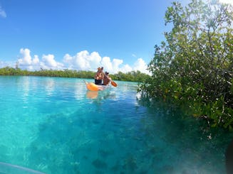 Visite de 2 heures de Clear Kayak Mangrove Cay Eco Venture