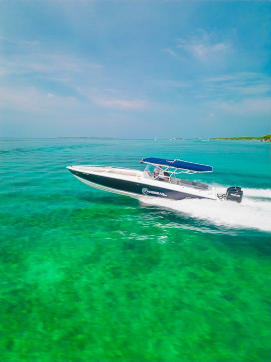 Best boat for Island tour