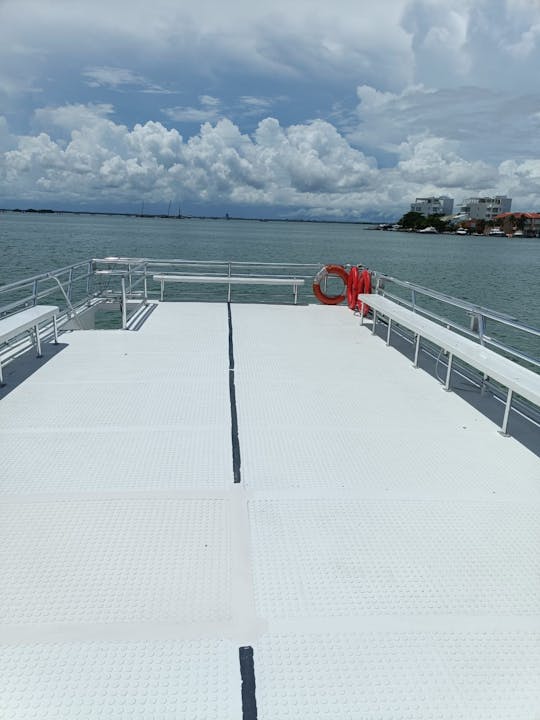 Fretamento privado de catamarã a motor de 48 pés com capacidade para 65 pessoas