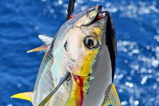 Thrilling Trolling Adventure in Okinawa: Private Charter (7 hours)