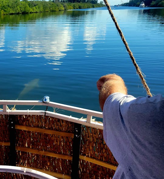 Dolphin & Manatee Sightseeing Cruise in Cocoa Beach, Florida