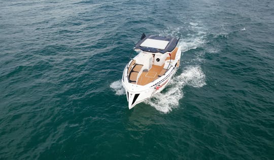 Alestra Marine Raptor Excursion Boat