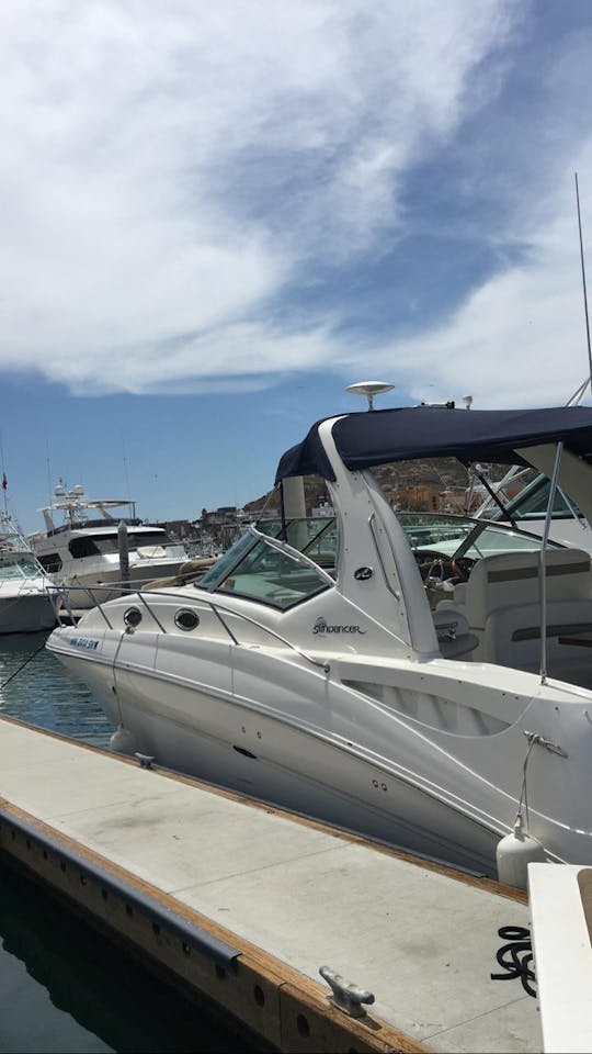 Yacht Sea Ray de 32 pieds pour votre aventure en mer à Los Cabos.