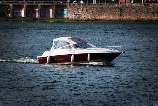 Excursion privée en bateau, pont D.Luís et Ribeira, 1h, prix de groupe jusqu'à 6px