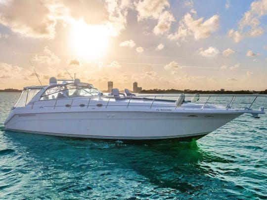 ¡Disfruta de Miami con el SEARAY SUNDANCER 51FT!