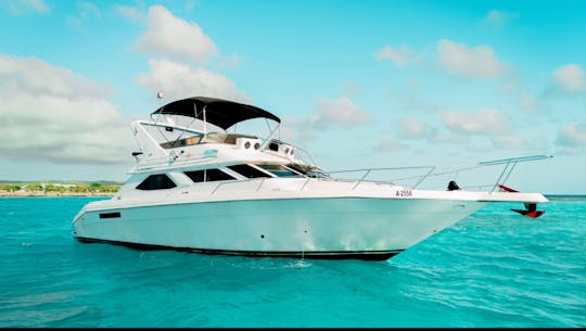 Luxury private yacht charter in Aruba 