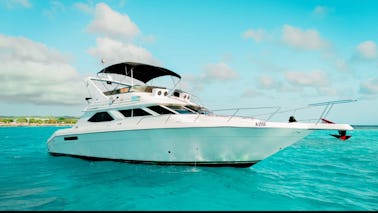 Luxury private yacht charter in Aruba | Sea Ray 440 Express Bridge