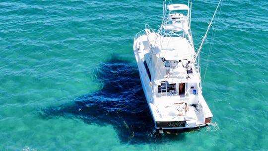 ¡Yate convertible Bertram de 60 pies para pesca, fiestas y más!