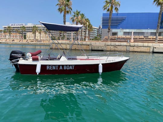 Bateau à louer sans permis, Dream Line