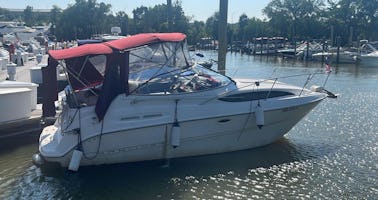 24ft Bayliner Cierra Express Cruiser in DC