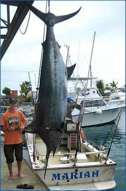 Private Sportfishing Charter in  Kona