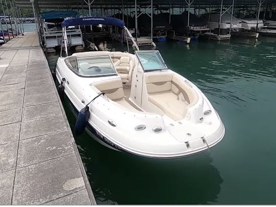 Profitez de Seattle sur l'eau à bord d'un bowrider de 23 pieds pour 10 personnes avec salle de bain ! 