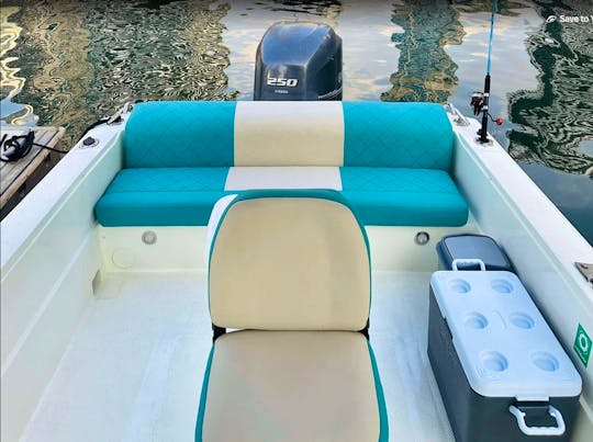 Blue Fin 32 Feet Motor Boat in Dubai