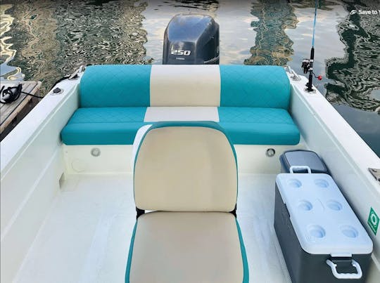 Blue Fin 32 Feet Motor Boat in Dubai