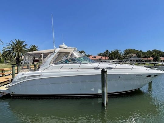 Cruise Miami Beach with the Sea Ray Sundancer 455 Motor Yacht!